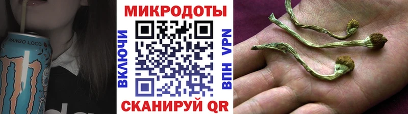 Галлюциногенные грибы GOLDEN TEACHER мега ONION Гаврилов-Ям